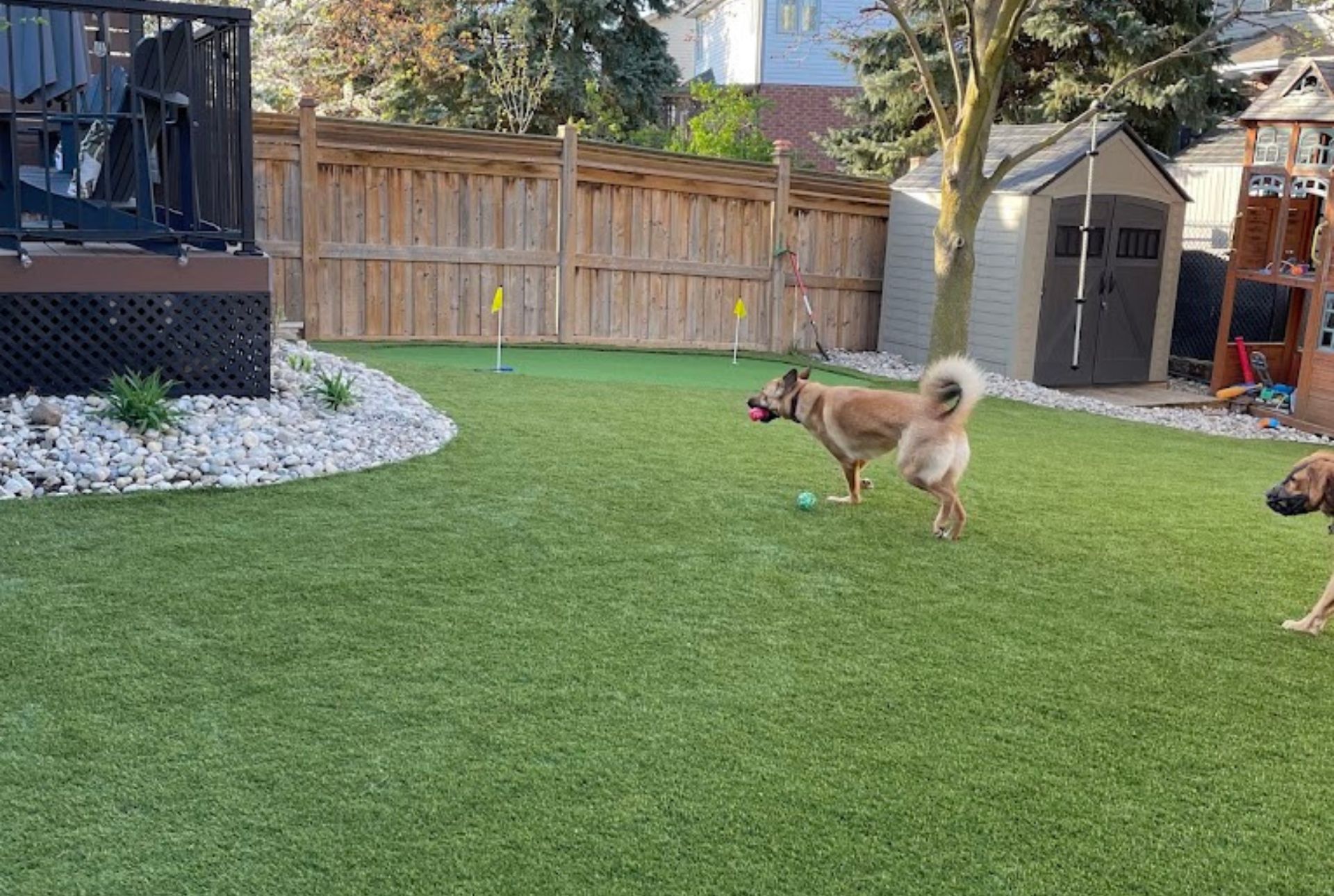 backyard turf installation